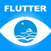 flutter示例+(移动应用开发)